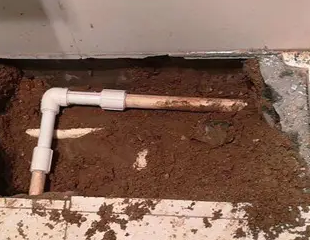 庄河测漏水哪家好