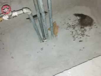 庄河卫生间测漏水价格明细