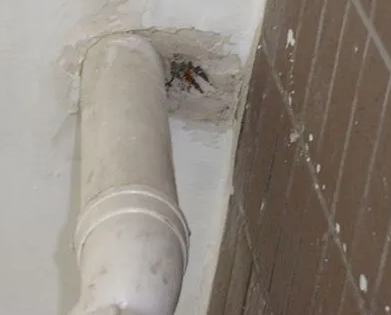 庄河漏水检测哪家好